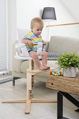 Froc Euro Design High Chair Seat For Baby, Toddlers Or Kids  - WHITE