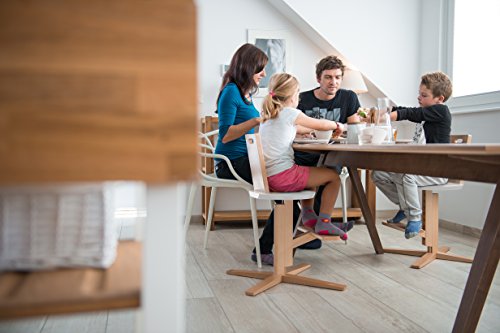 Froc Euro Design High Chair Seat For Baby to Kids With Safety Rail and 5 point harness WHITE