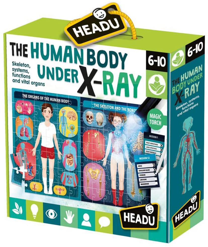 The Human Body Under X-Ray Educational Puzzle for KsmToys by Headu