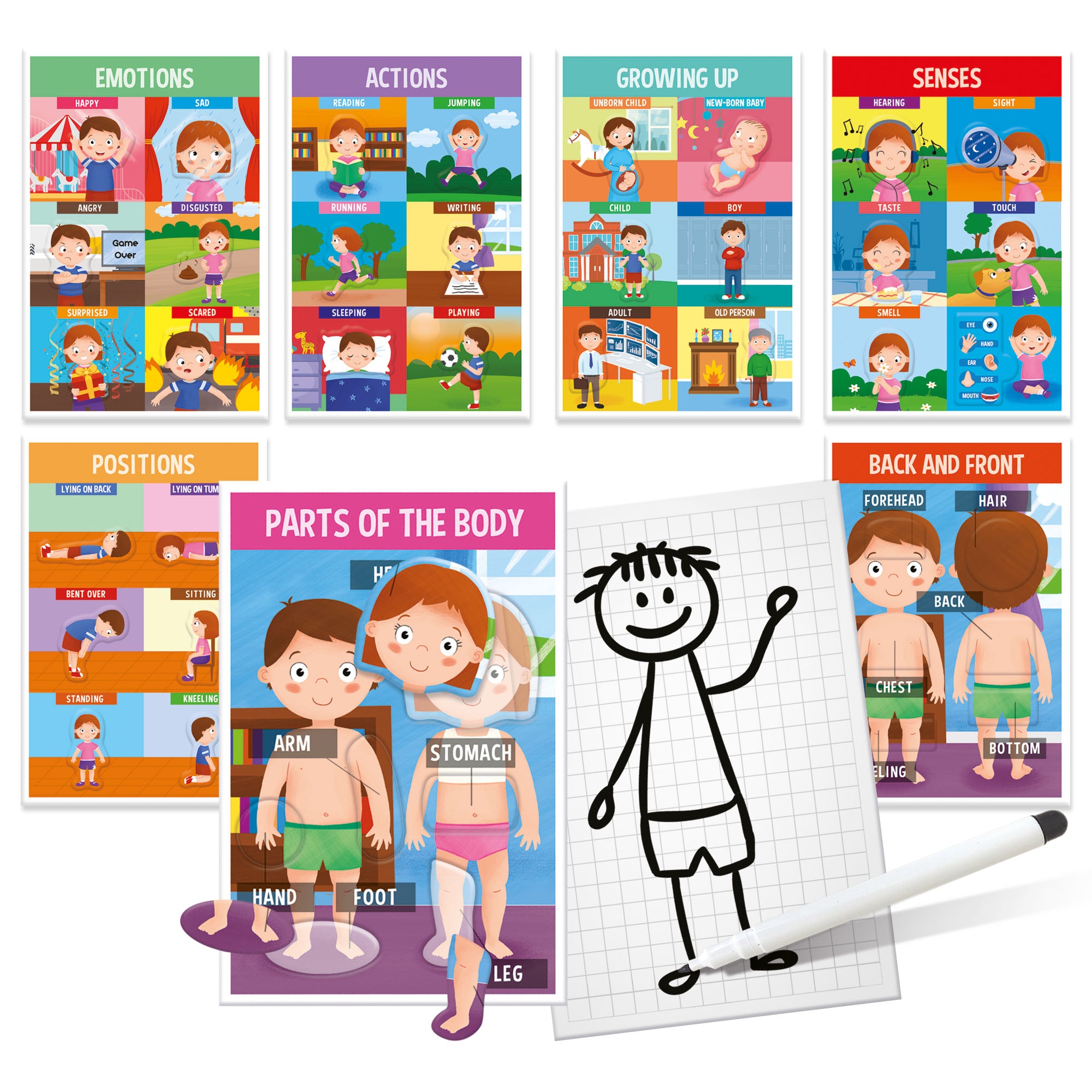How are we Made My First Game About The Human Body Designed with Montessori Concept for Ksmtoys by Headu