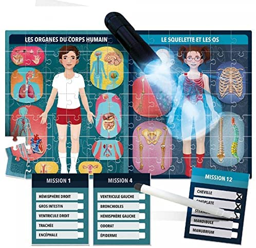 Le Corps Humain Aux Rayons X Or he Human Body Under X-Ray Educational Puzzle Learn About The Bones Tissues Functions of The Organs and More by Headu