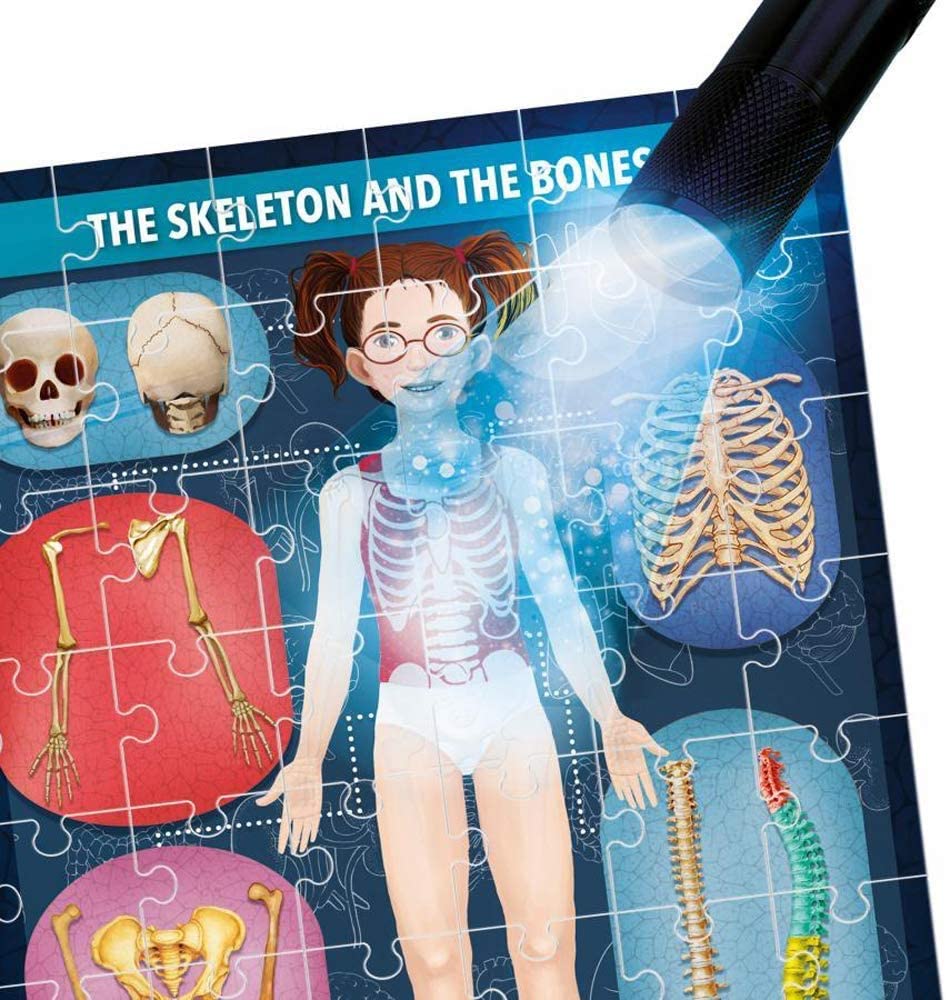 Le Corps Humain Aux Rayons X Or he Human Body Under X-Ray Educational Puzzle Learn About The Bones Tissues Functions of The Organs and More by Headu